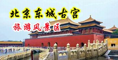 黄色视频真人真人操逼中国北京-东城古宫旅游风景区